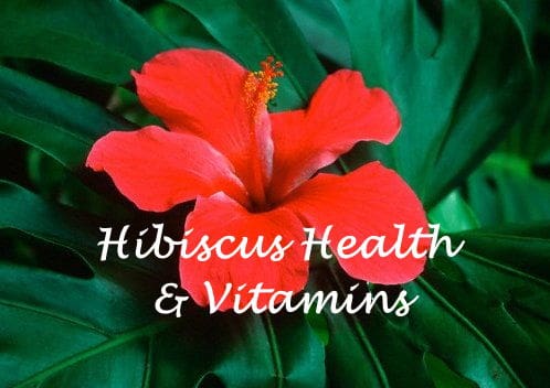 Hibiscus Health & Vitamins